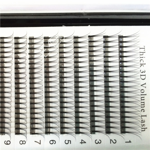 eyelash extension companies